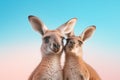 Two kangaroos take a selfie