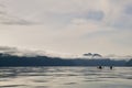 Two kayakers paddling at Prince William Sound, USA Royalty Free Stock Photo