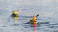 Two Kayakers Rowing on River