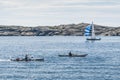 Two kayaks and a sailingboat Swedish West Coast