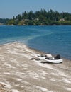 Two kayaks on sand spit with houses on shore