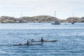 Two kayaks Swedish West Coast archipelago