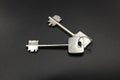 Two keys on black background Royalty Free Stock Photo
