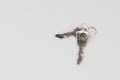 Two keys isolated on a white background spread out. Open space and concept Royalty Free Stock Photo