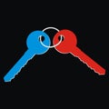 Two keys, color picture on black background, vector symbol