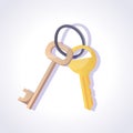 Two keys. Vector clip art Royalty Free Stock Photo