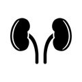 Two kidneys icon in flat style.