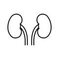 Two kidneys icon in linear style.