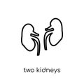 Two Kidneys icon. Trendy modern flat linear vector Two Kidneys i