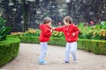 Two kids, boy brothers, fighting in garden, summer