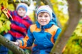 Two kids boys enjoying climbing on tree on autumn day. Royalty Free Stock Photo