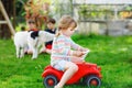 Two kids boys and little toddler girl playing with family dog in garden. Three children, adorable siblings having fun Royalty Free Stock Photo