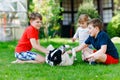 Two kids boys and little toddler girl playing with family dog in garden. Three children, adorable siblings having fun Royalty Free Stock Photo