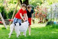 Two kids boys playing with family dog in garden. Laughing children, adorable siblings having fun with dog, with running Royalty Free Stock Photo