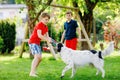 Two kids boys playing with family dog in garden. Laughing children, adorable siblings having fun with dog, with running Royalty Free Stock Photo