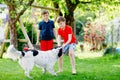 Two kids boys playing with family dog in garden. Laughing children, adorable siblings having fun with dog, with running Royalty Free Stock Photo