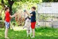 Two kids boys playing with family dog in garden. Laughing children, adorable siblings having fun with dog, with running Royalty Free Stock Photo