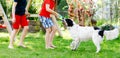 Two kids boys playing with family dog in garden. Laughing children, adorable siblings having fun with dog, with running Royalty Free Stock Photo