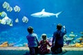 Two kids boys and toddler girl visiting together zoo aquarium. Three children watching fishes and jellyfishes. School Royalty Free Stock Photo