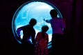 Two kids boys and toddler girl visiting together zoo aquarium. Three children watching fishes and jellyfishes. School Royalty Free Stock Photo