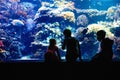 Two kids boys and toddler girl visiting together zoo aquarium. Three children watching fishes and jellyfishes. School Royalty Free Stock Photo