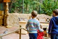 Two kids boys and toddler girl visiting together zoo. Three children watching animals and insects. School boys wearing Royalty Free Stock Photo