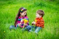 Two kids with dandelions on a meadow Royalty Free Stock Photo