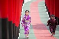 Two kids in kimono walking into at the shrine red gate, in Japanese garden Royalty Free Stock Photo