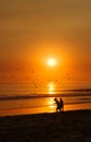 Kids playing at the beach before an orange sunset and gulls Royalty Free Stock Photo