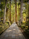 Two kilometer long path in the Okunion cemetery in Koyasan Wakayama - Japan, flanked with 300 000 gravestones