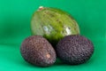 Two kinds of avocado- one avocado of the sort Fuerte and two pieces os the very aromatic Hass avocado