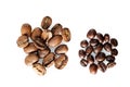 Two kinds of coffee: big and small beans