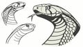 Two King Cobras, Striking Serpent Illustration, vector design Generative AI Royalty Free Stock Photo