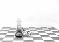 Stylized chess board with two pieces white background