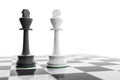 two kings on a chess board Royalty Free Stock Photo