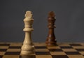 Two kings on chessboard. Confrontation concept Royalty Free Stock Photo