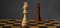 Two kings on chessboard. Confrontation concept Royalty Free Stock Photo