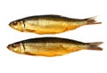 Two kippers, smoked herring on white background Royalty Free Stock Photo