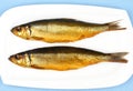 Two kippers, smoked herring on white plate Royalty Free Stock Photo