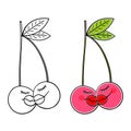 Two kissing cherries. Two cute cherries falling in love. Love and Valentines Day concept.