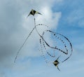 Two kites flying in the sky