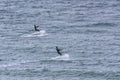 Two kitesurfers glide in parallel on the water