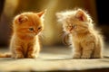 two kitten playing together as friends. generative ai Royalty Free Stock Photo