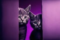 Two kittens cautiously looking around the corner on a purple background, created with Generative AI technology. Copy