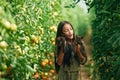 Two kittens in hands. Little girl is in the garden with tomatoes