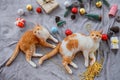 Two kittens look up on gray carpet in christmas holiday with decoration and ornament. Royalty Free Stock Photo