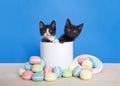 Two kittens peeking out of a cookie jar on table with spilled cookies