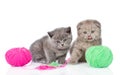 Two Kittens Playing With A Ball. Isolated On White Background
