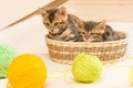 Two kittens resting in baskets after the game with balls of wool