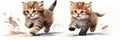 Two kittens running in the water, AI Royalty Free Stock Photo